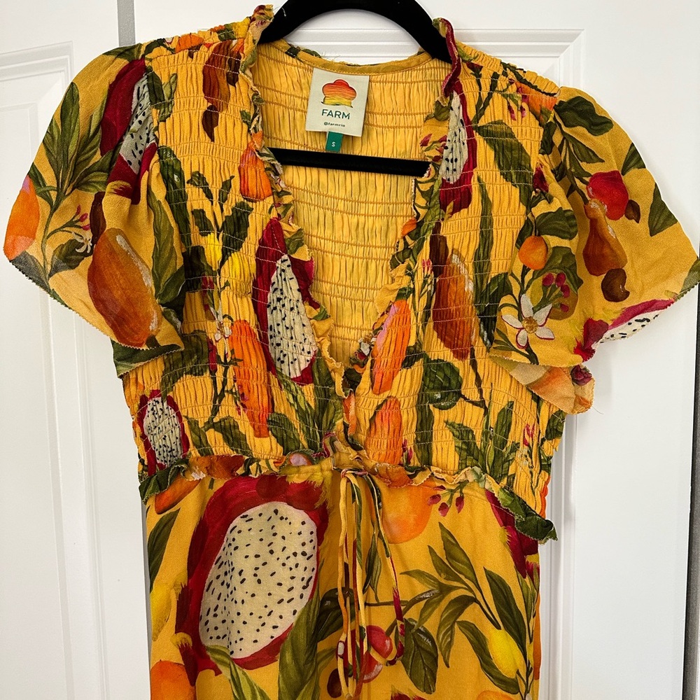 Farm Rio tropical biriba fruit maxi dress women’s size small